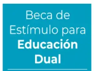 Beca Elisa Acuña de Estiímulo para Educación Dual