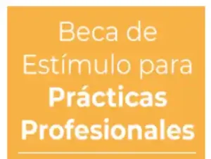 Beca de estímulo para Prácticas Profesionales