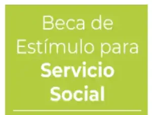 Beca de estímulo para Servicio Social