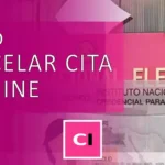 Cancelar Cita INE