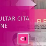 Consultar Cita INE
