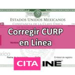 Corregir CURP en línea