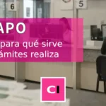 RENAPO y trámites de identidad en México