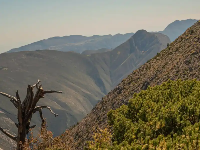 Sierra de la Marta, Coahuila, Mexico